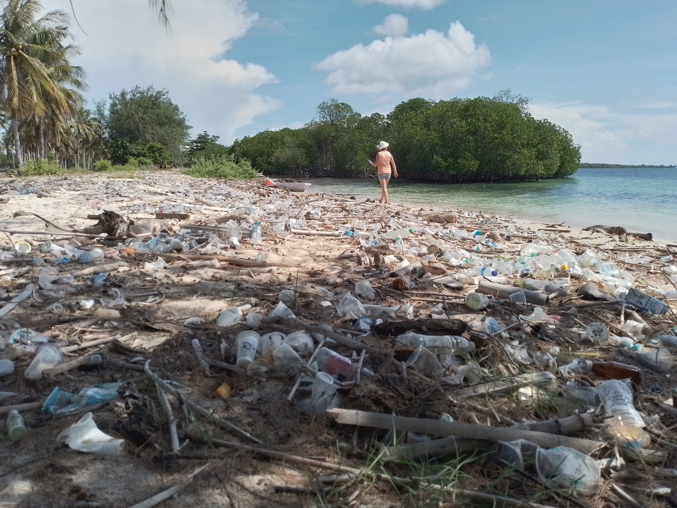 Plastic Pollution